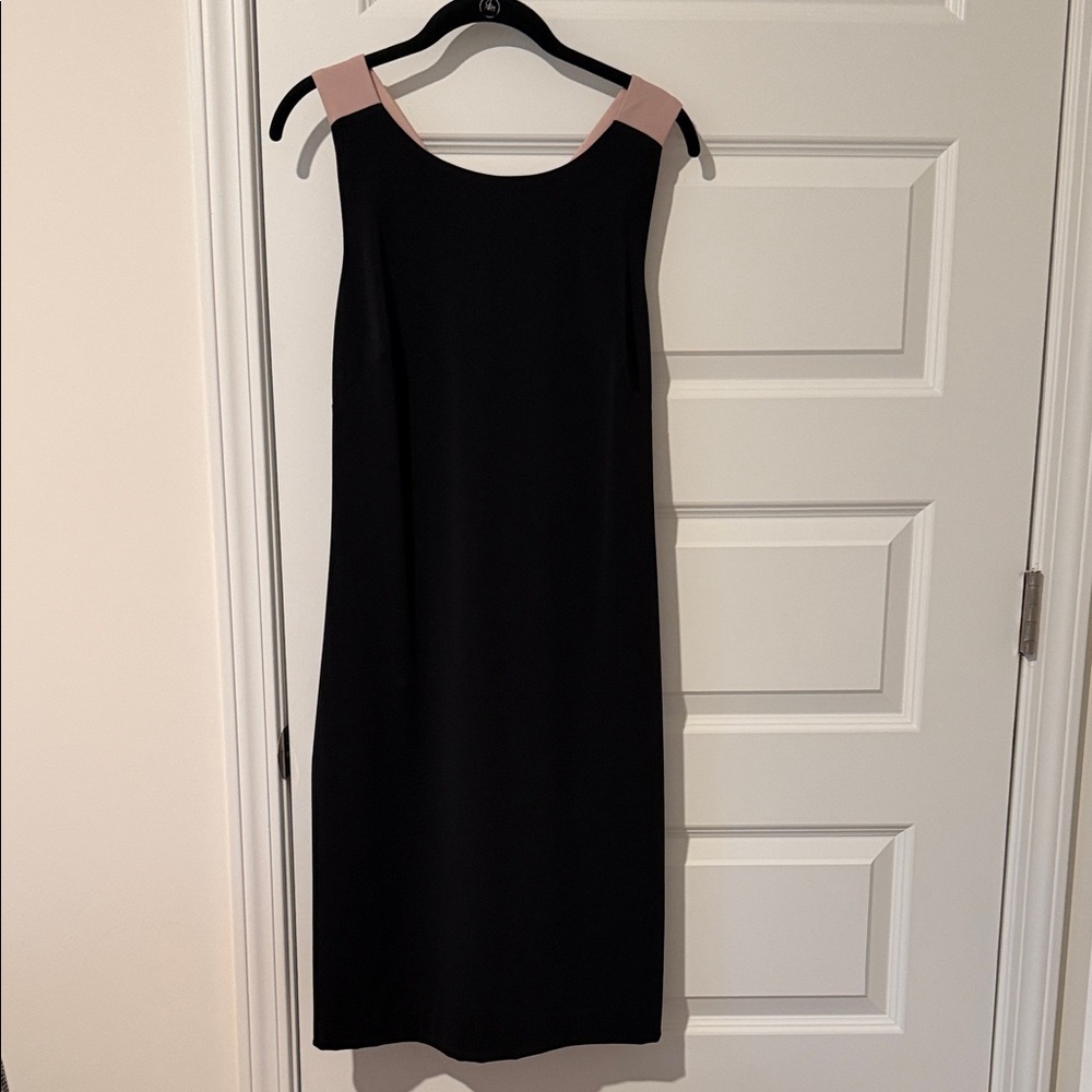 Badgley Mischka Black Dress with Pink Accents